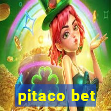 pitaco bet